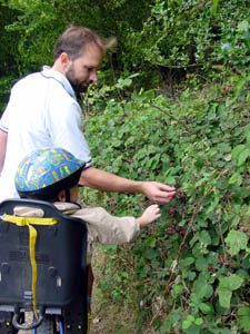 Stopping to pick some blackberries along the cycle path