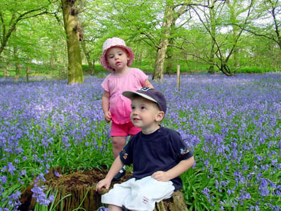 Joshua & Misha in the Bluebells