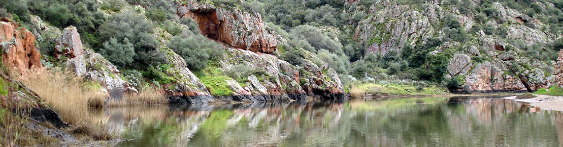 Mineral deposits along the river bank near the hot spring